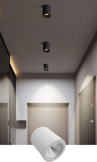 LED Cylinder Downlight